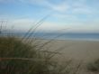 Strand2.jpg